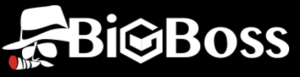 bigboss-logo