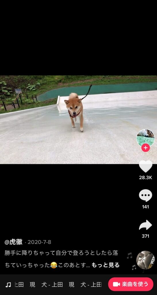 TikTok　曲　調べ方