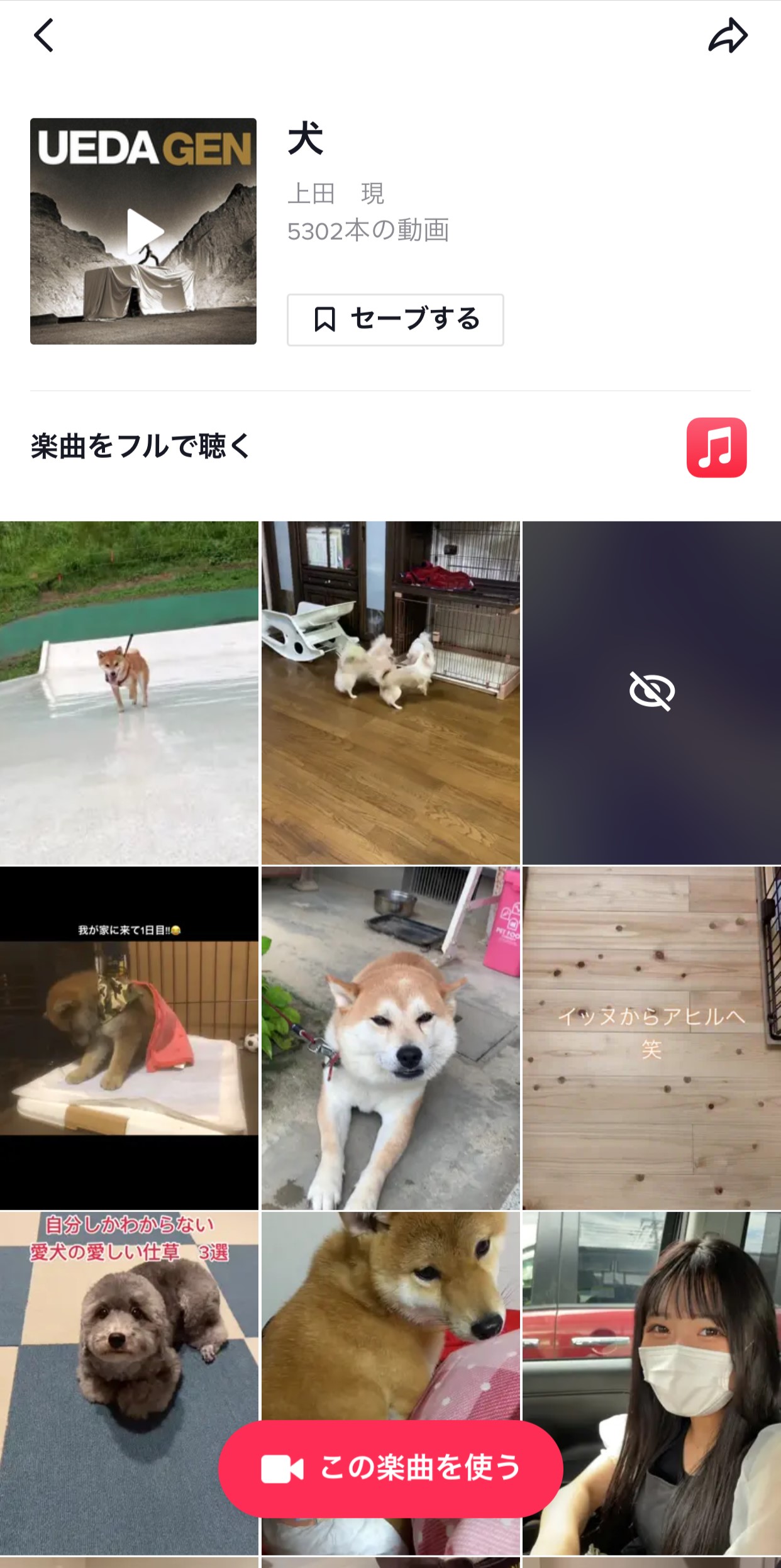 TikTok　曲　調べ方