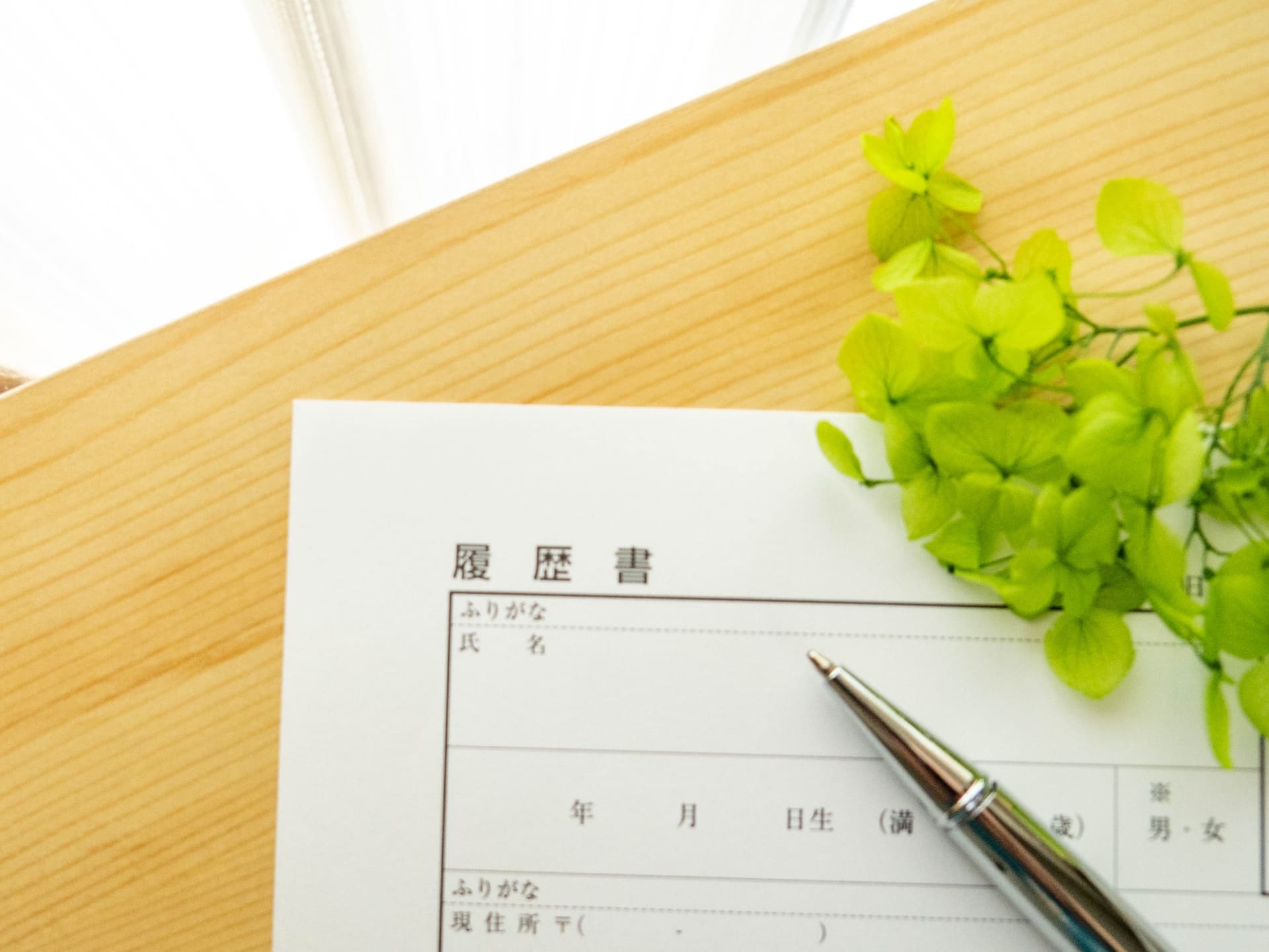 ワイスター(YStar)の所属者・芸能人