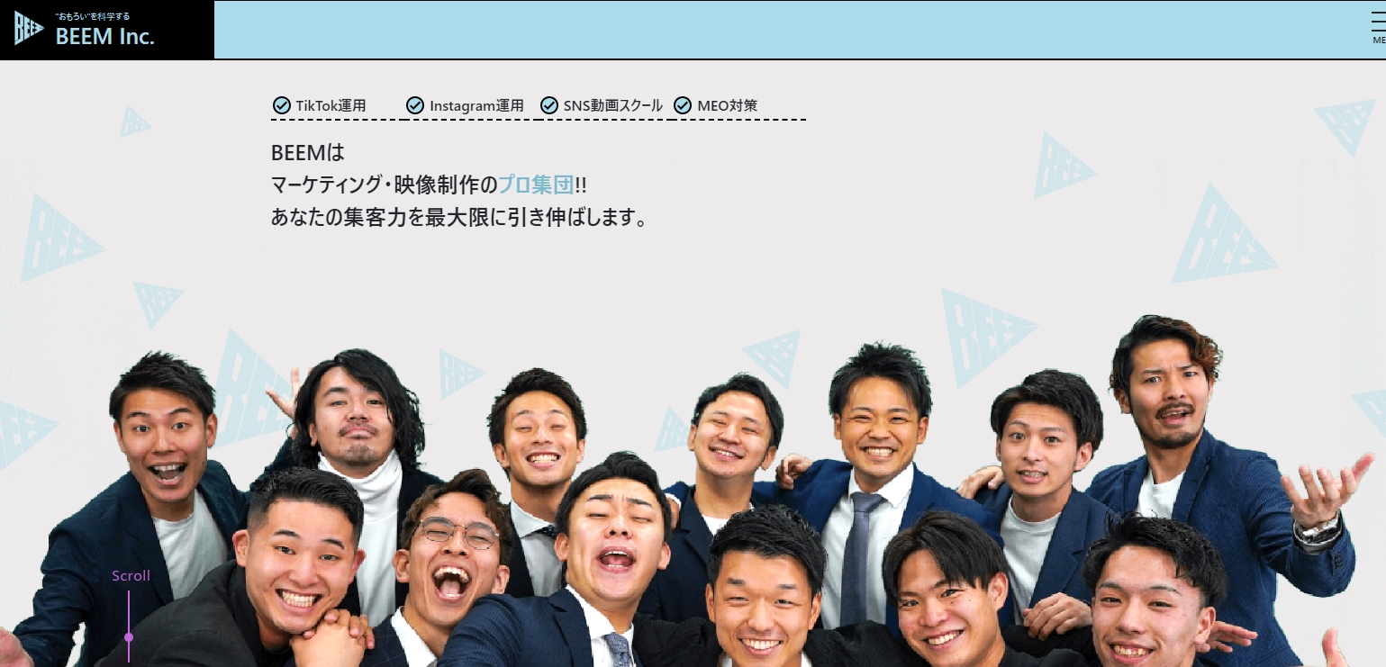 TikTok 採用
