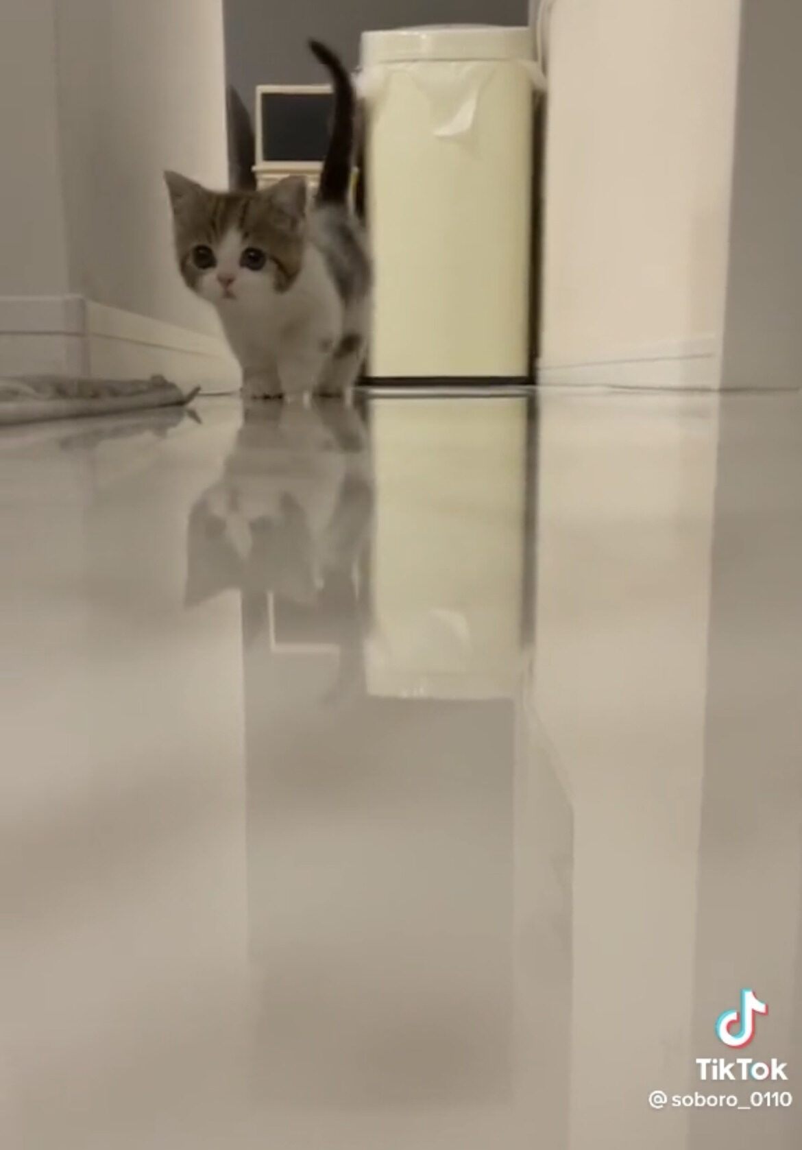 TikTok スクショ