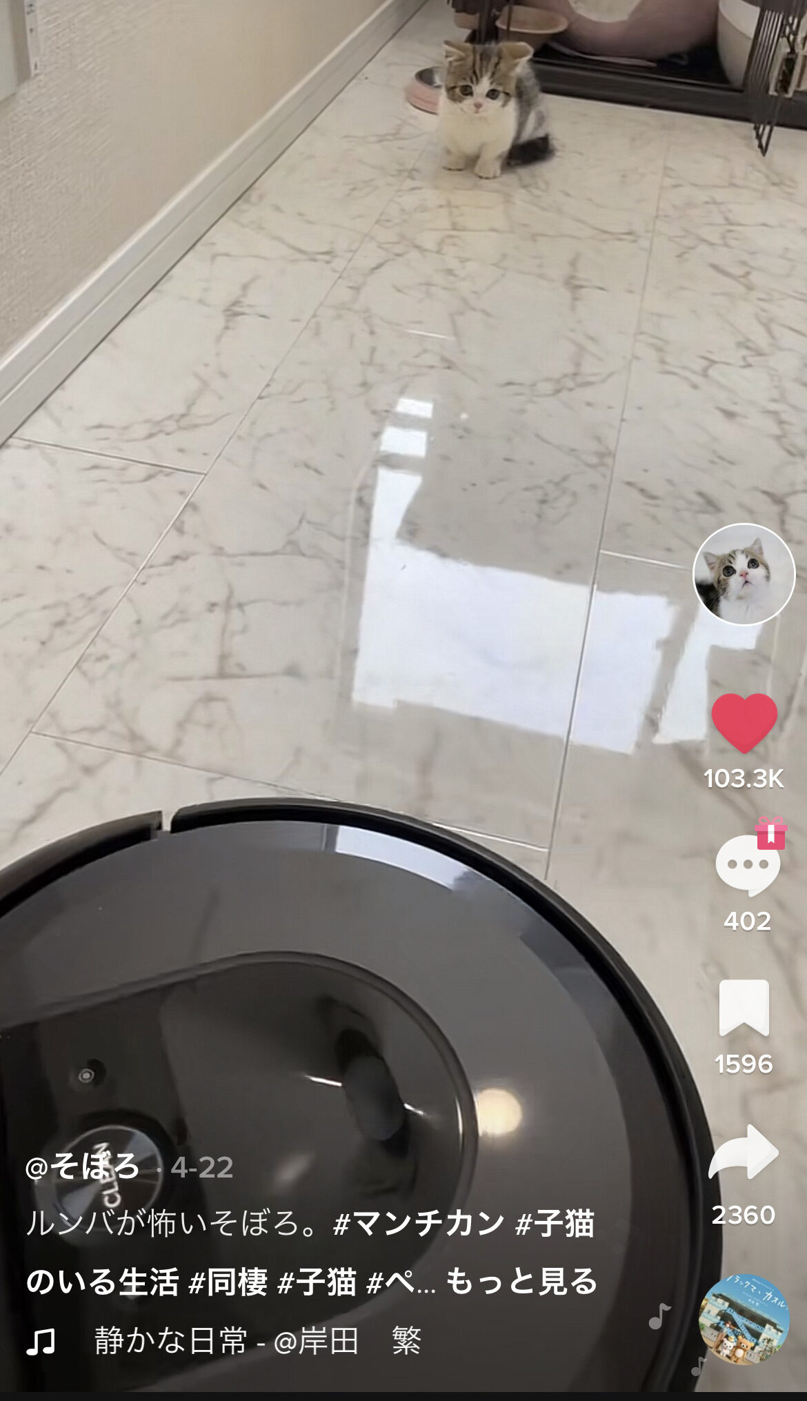 TikTok　通報