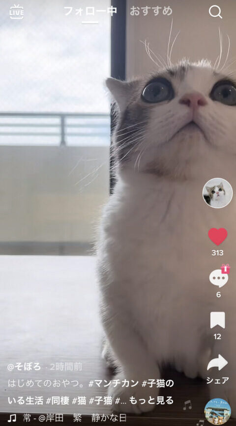 TikTok　バレる