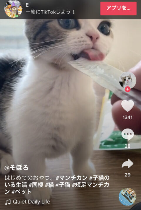 TikTok　バレる