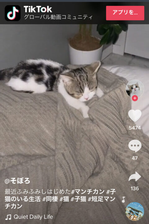 TikTok　バレる