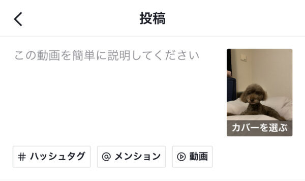 TikTok　メンション