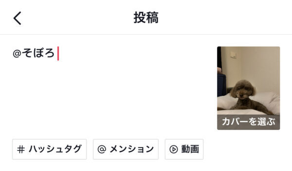 TikTok　メンション