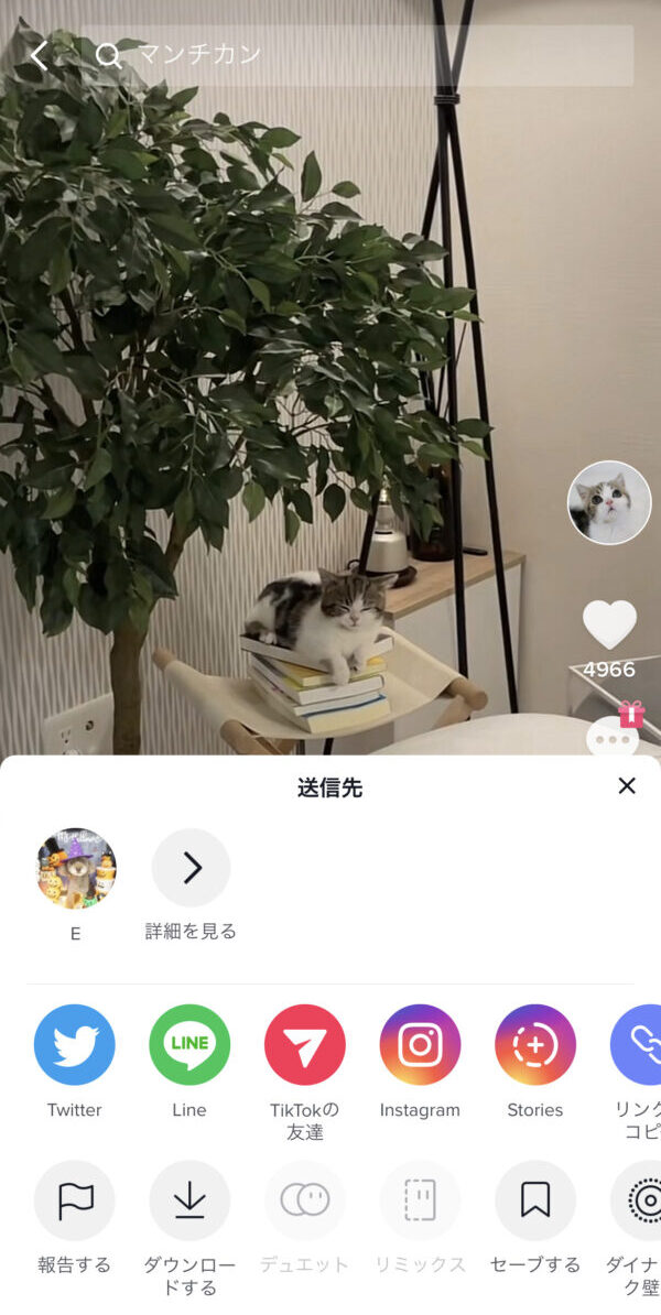 TikTok　画面録画