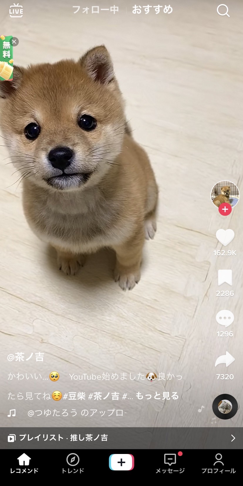 TikTok Instagram　シェア
