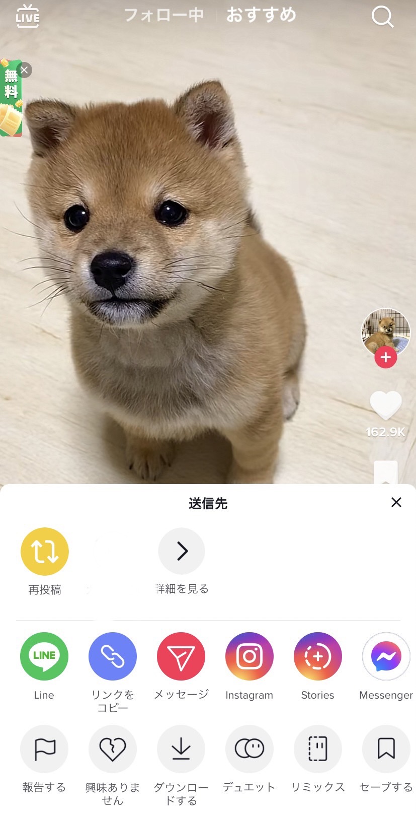 TikTok Instagram　シェア