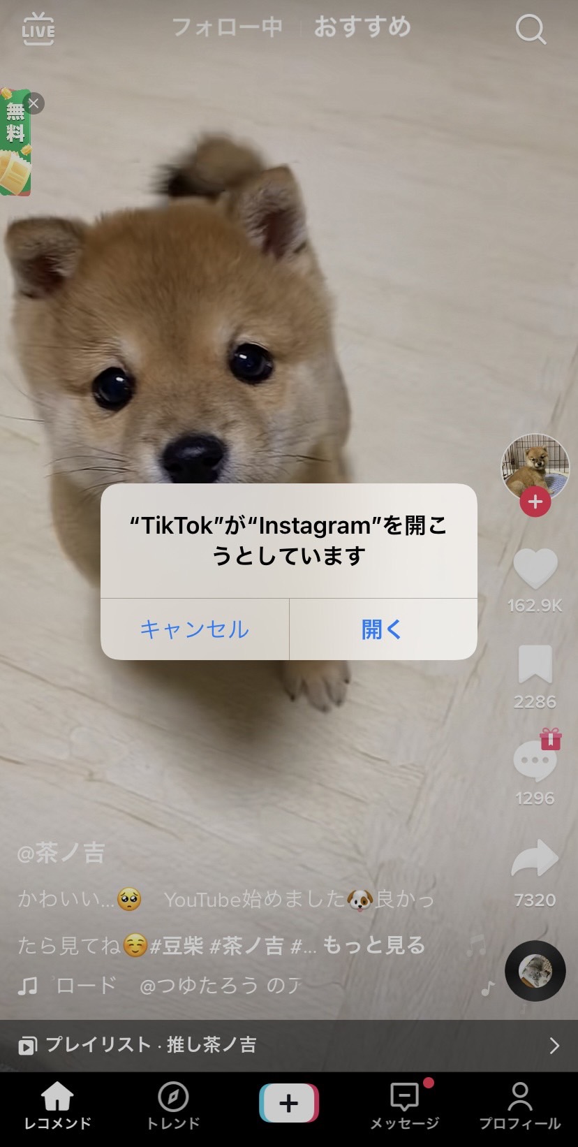 TikTok Instagram　シェア