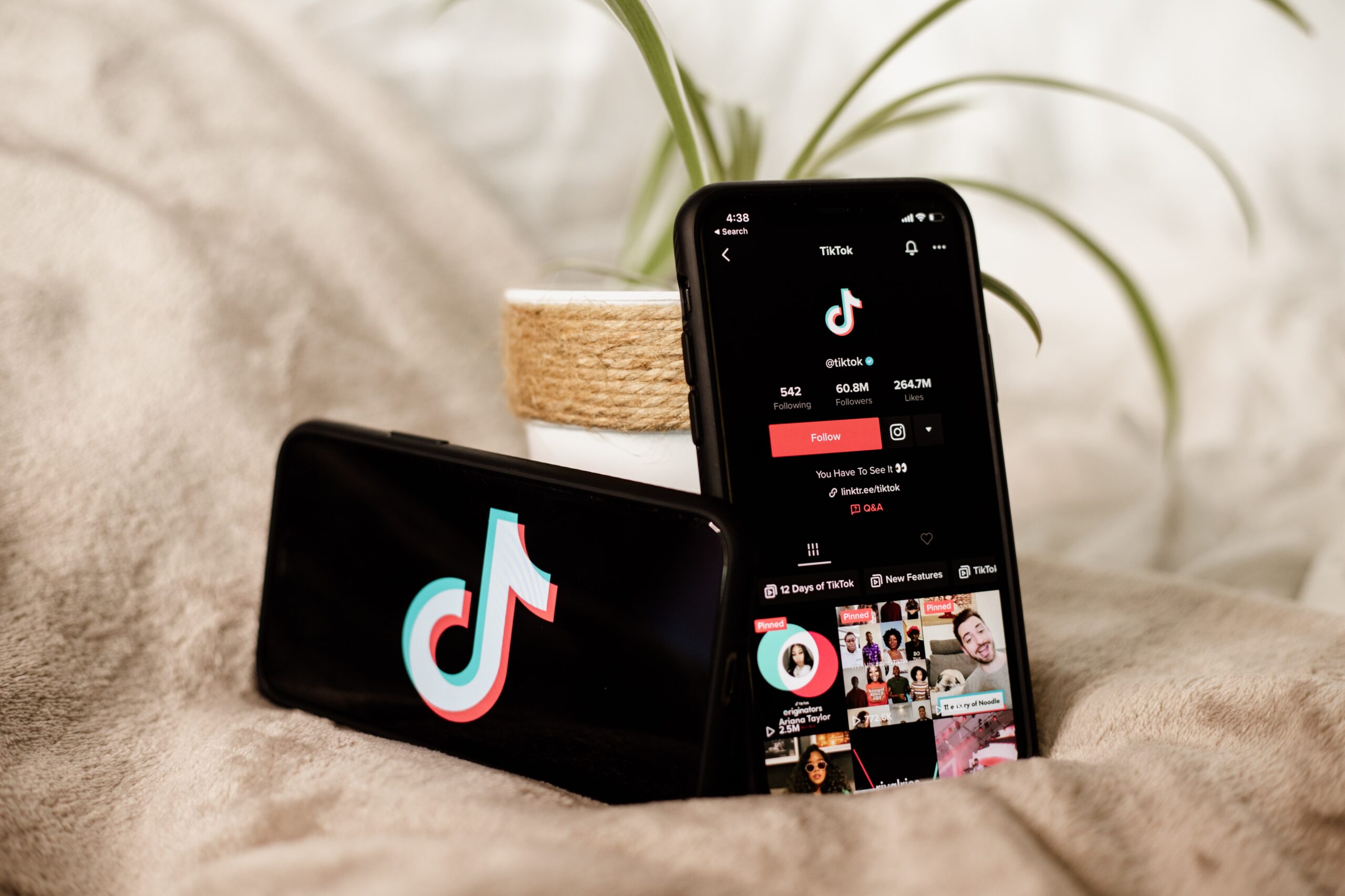 TikTok　企業案件　