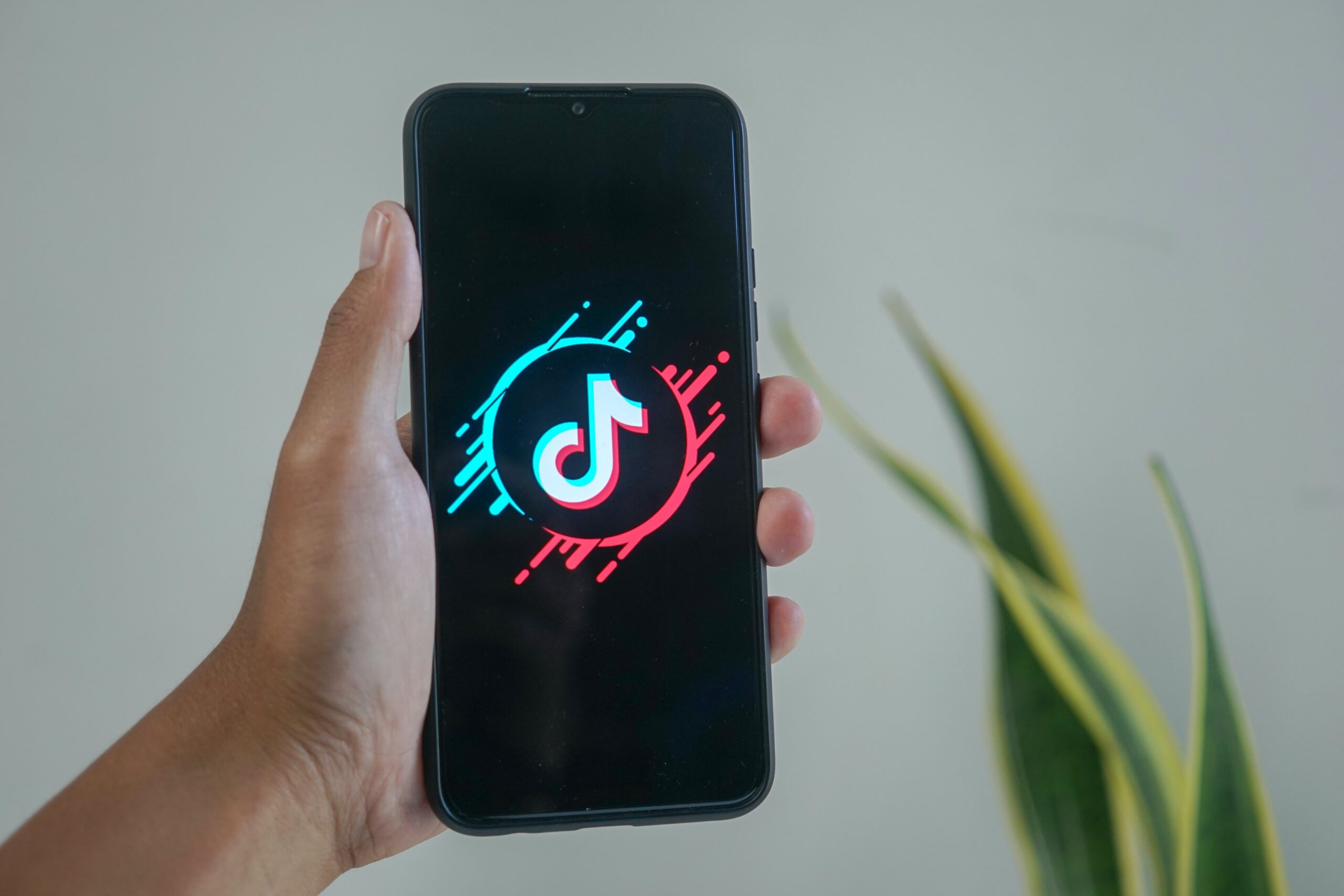 TikTok　企業案件