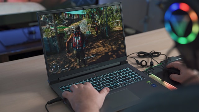 パソコンでゲームしている様子