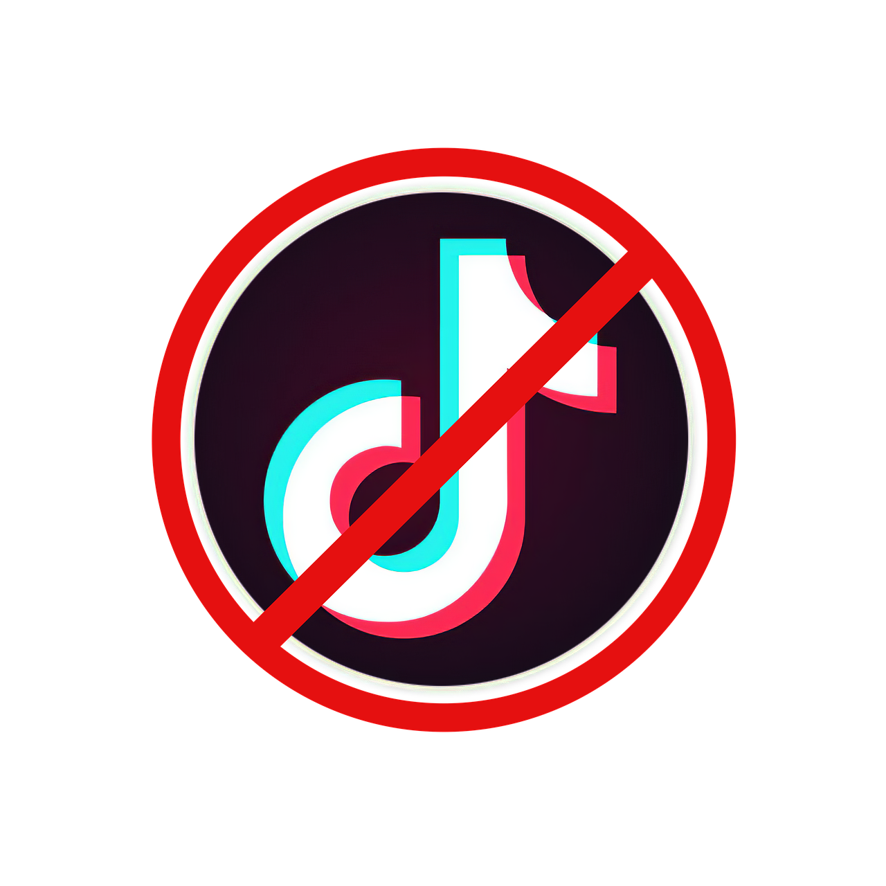 TikTok おすすめ 乗らない理由