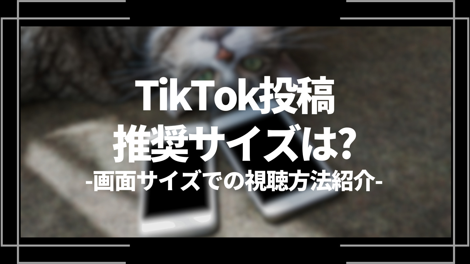 tiktok投稿推奨サイズは？画面サイズの視聴方法紹介